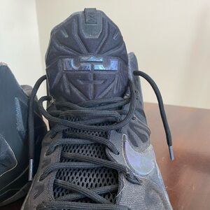 Nike Lebron James shoes